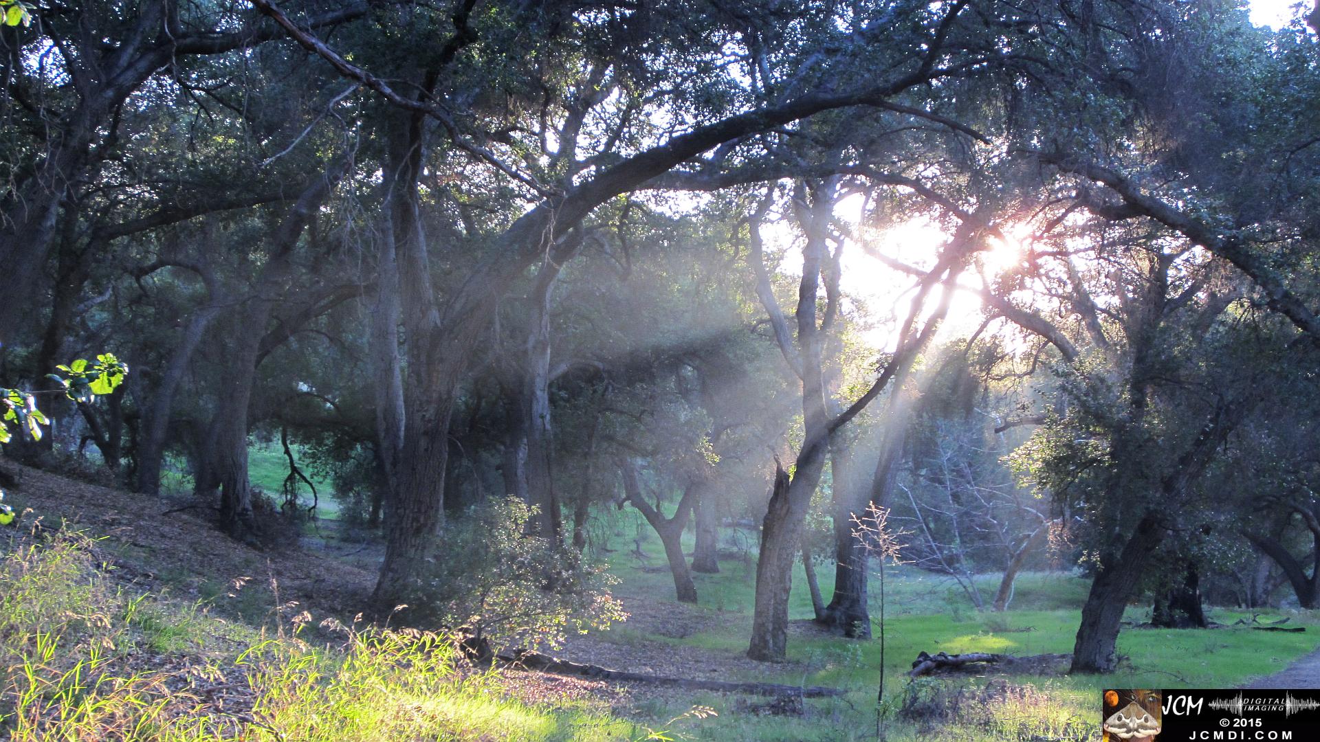 Whitney Canyon sunrays
